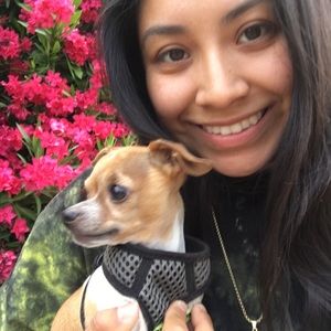 Meet your Posher, Julia